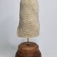 Old oblong coral on wooden base 24 cm