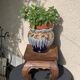 Plant holder, wooden saddle, old base