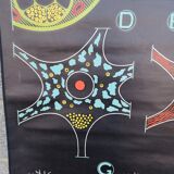 School poster of doctor Auzoux nerve tissue