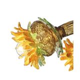 Venetian Murano glass chandelier