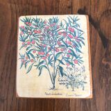 10 "herbarium" frames