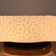 Mid-century Wall or Ceiling light,1970's.