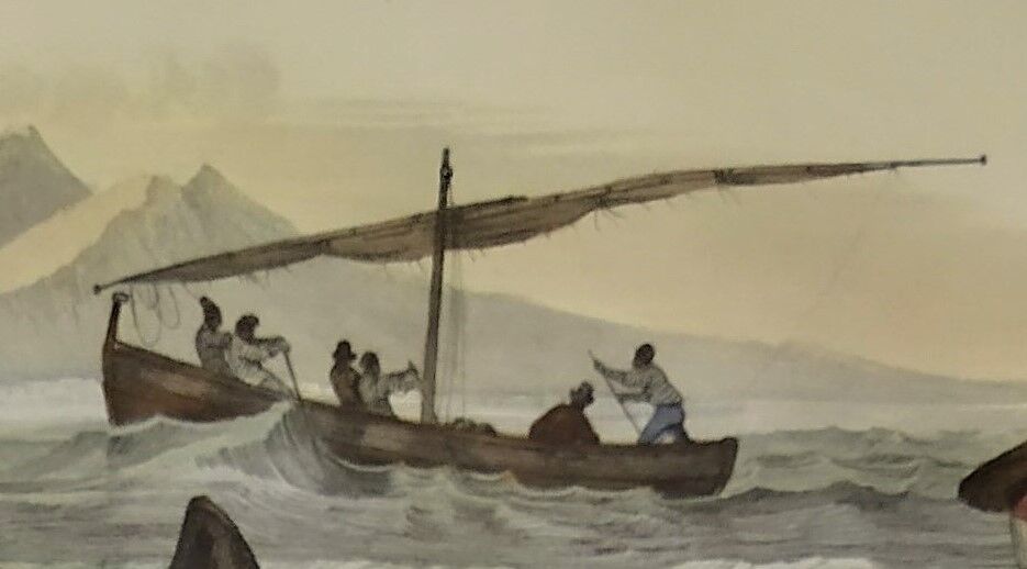 Original zoological plate of 1839 "tuna & mackerel"