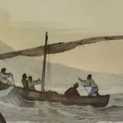 Original zoological plate of 1839 "tuna & mackerel"