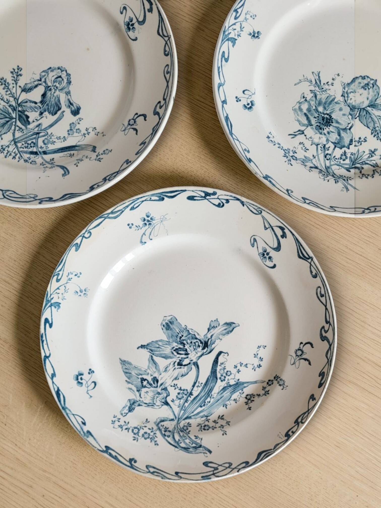5 earthenware plates from Creil and Montereau "Crémone", ironstone Art Nouveau