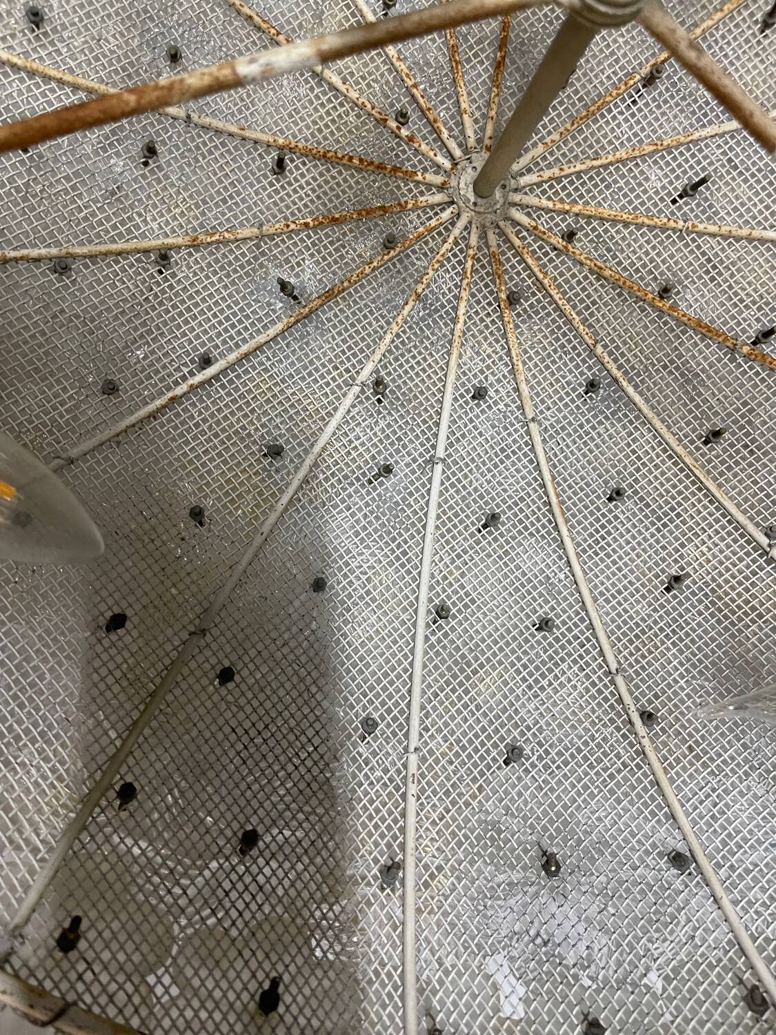 Plafonnier en verre de Murano en forme de fleur extra large par Archimede Seguso, années 1960.