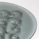 Smoked glass presentation tray