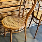 Chaises Thonet en cannage