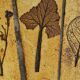 Round coffee table herbarium Roger Capron, Vallauris - ceramic and wooden structure