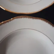 6 deep plates in porcelain from France SEr in very good condition.