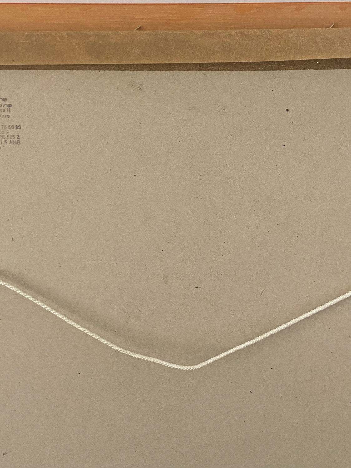 Canvas , horse's head