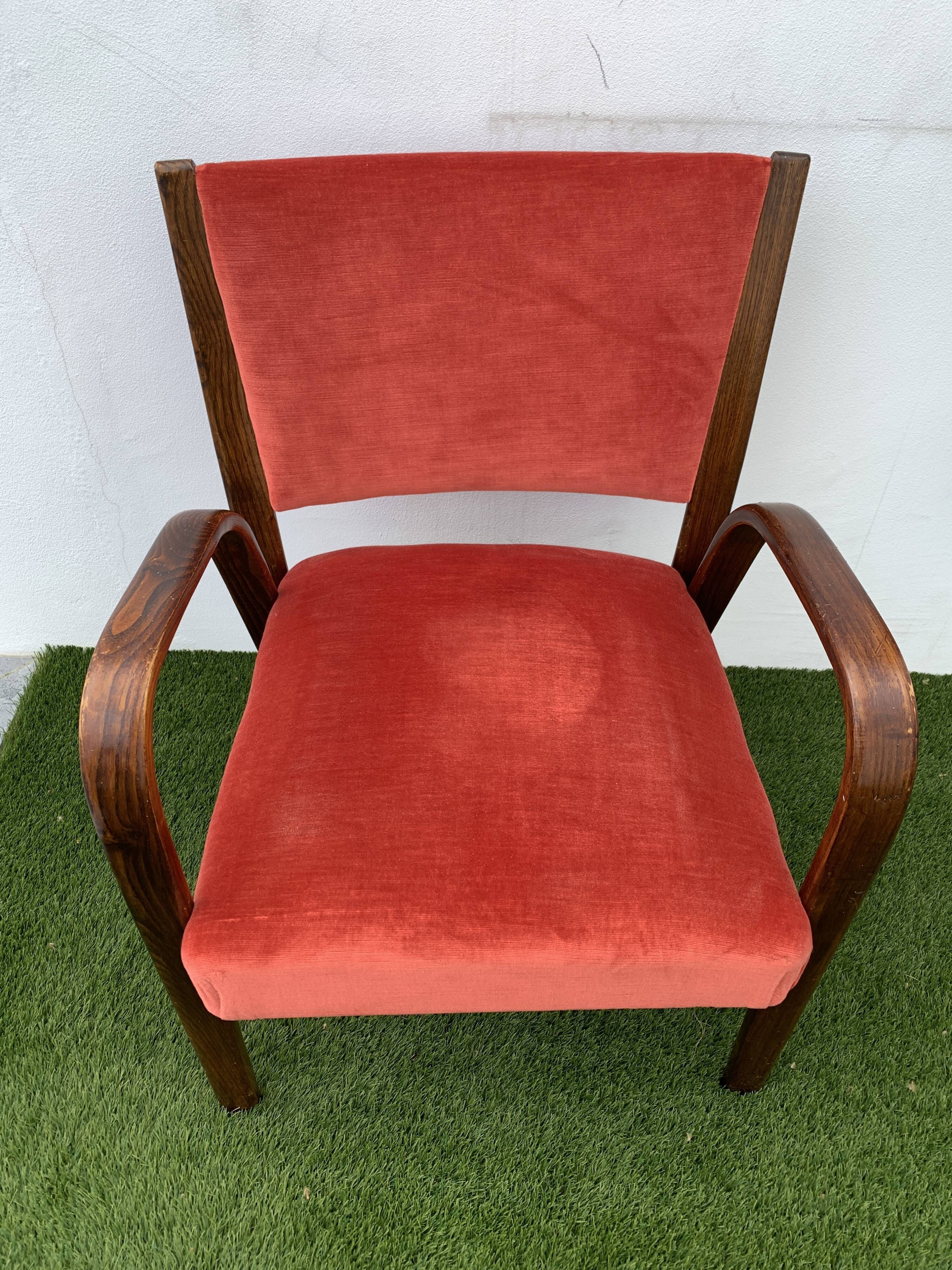 Hugues Steiner armchair, bow-wood model, curved wood and velvet, 1950