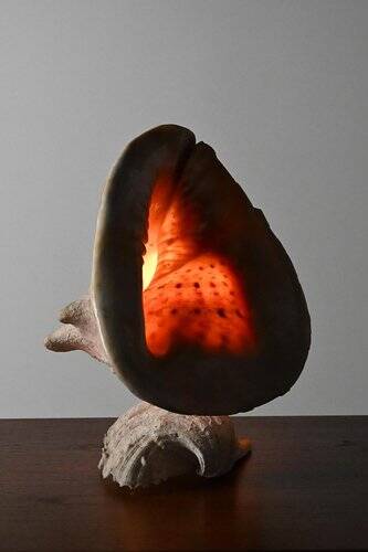 Vintage Shell Lamp