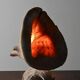 Vintage Shell Lamp