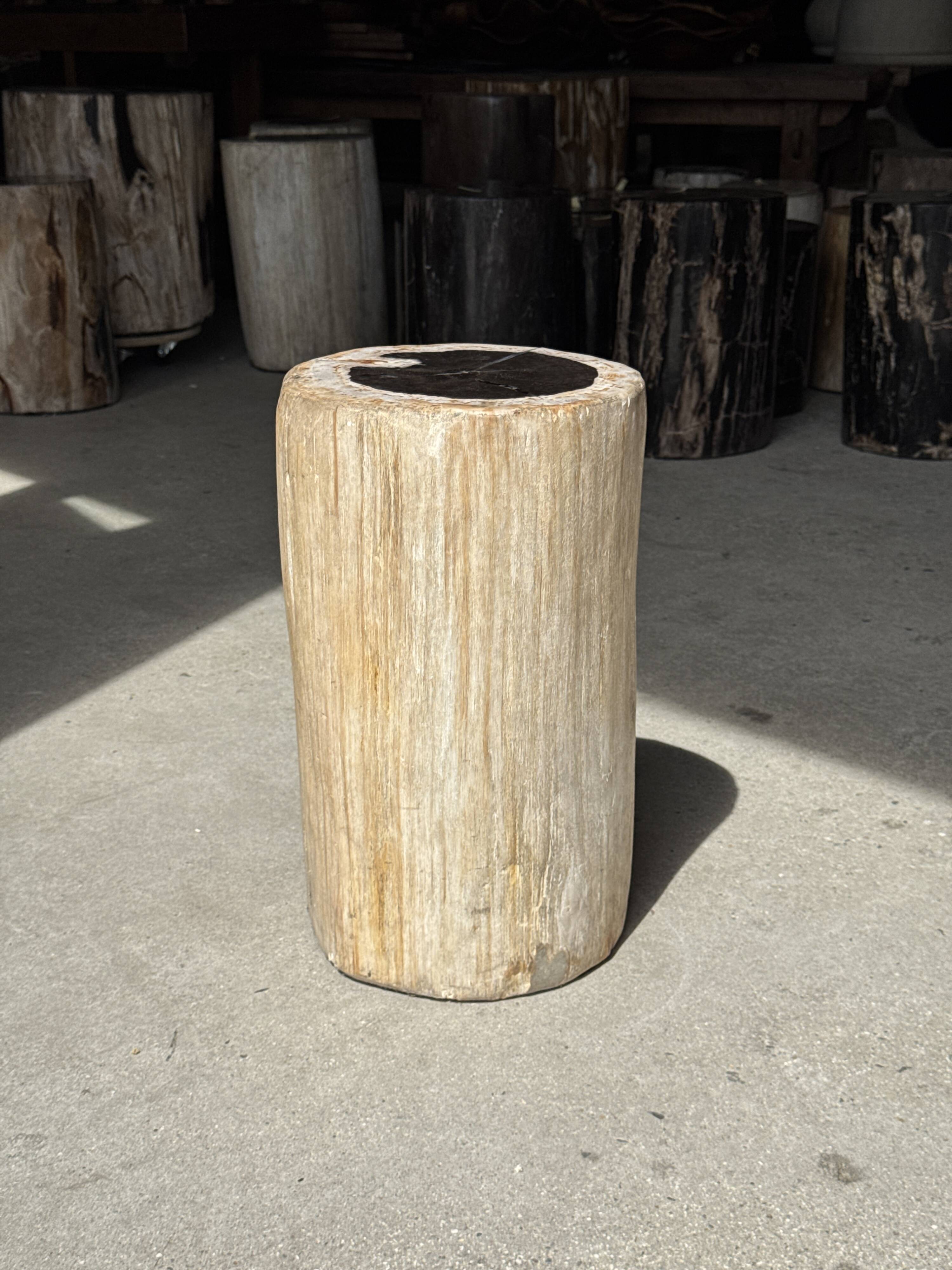 Table d'appoint en bois pétrifié, écorce blanche