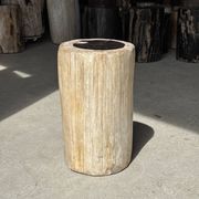Petrified wood side table, white bark