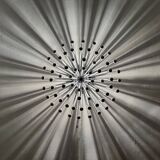 Applique, plafonnier Pistillo par Studio Tetrarch pour Valenti Luce