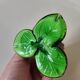Glass paste candle holder