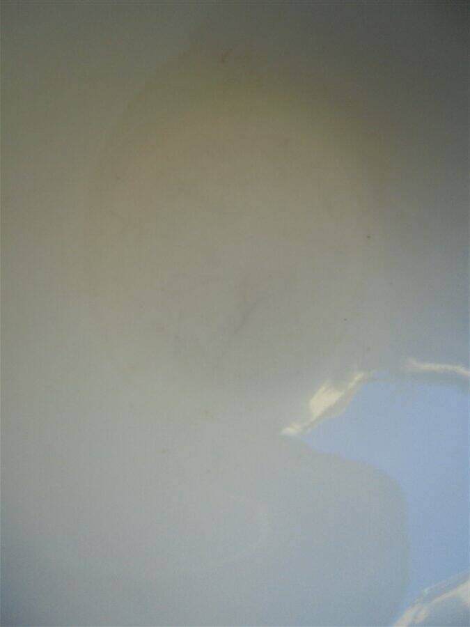 Set of 2 fruit bowls