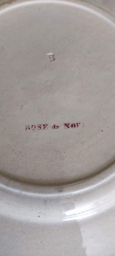 Flat plate iron earth / Christmas rose