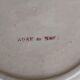 Flat plate iron earth / Christmas rose