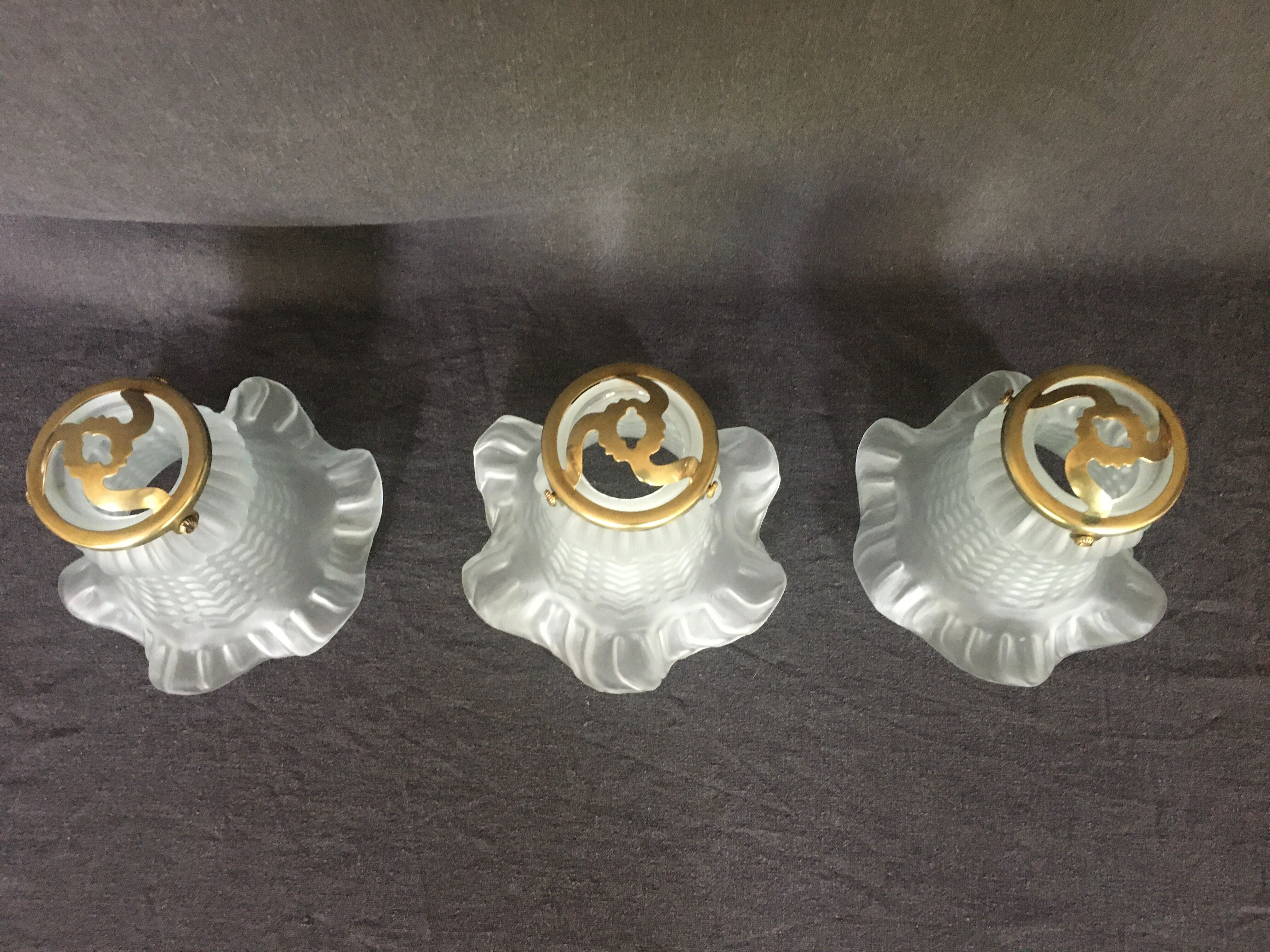 Tulipes en verre dépoli