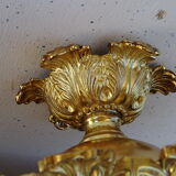 Glass and brass globe chandelier