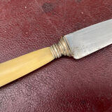 Set of 12 old horn handle knives