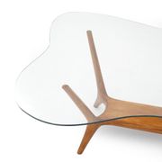 Italian coffee table in wood and glass, 1950s