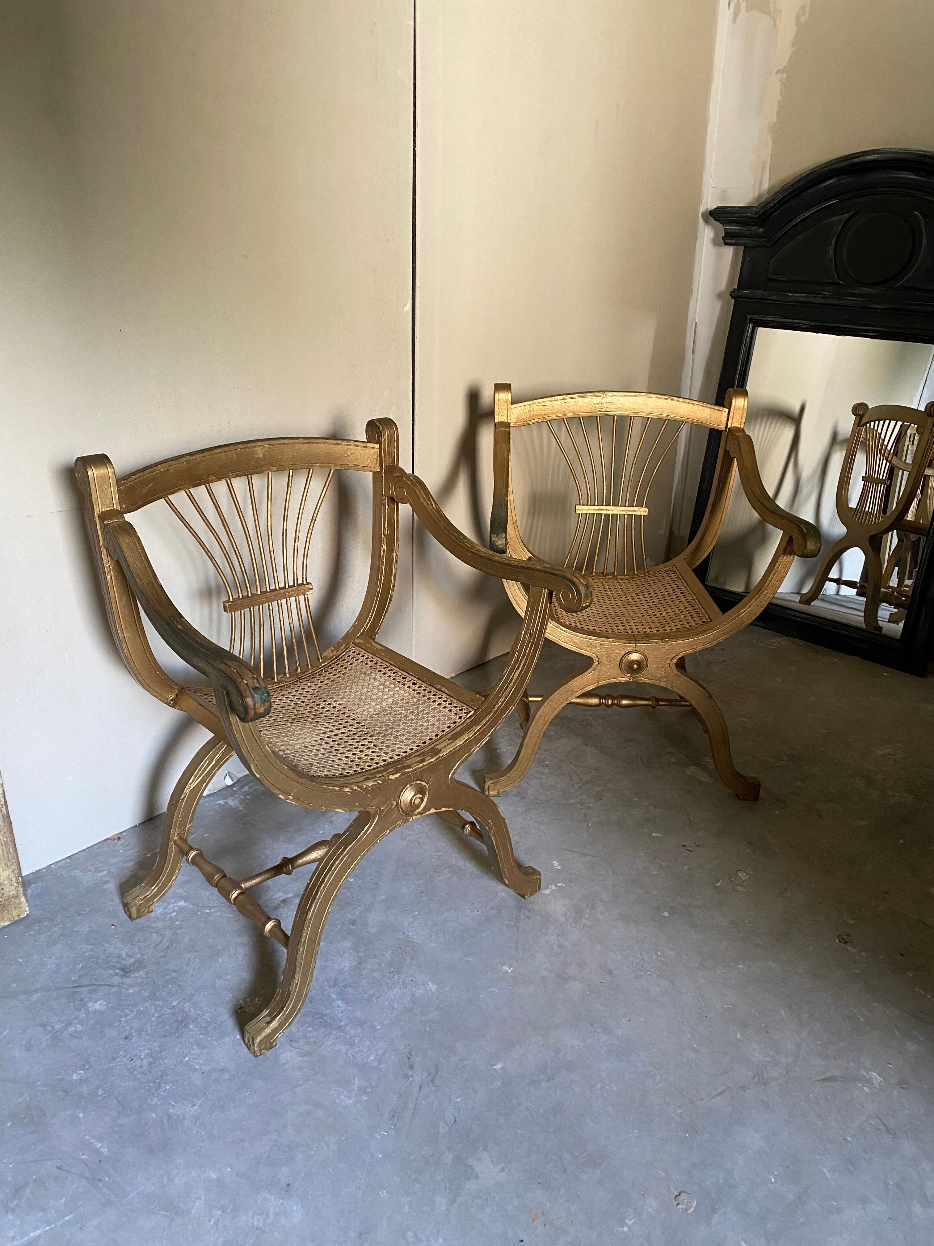 Pair of canework golden armchairs