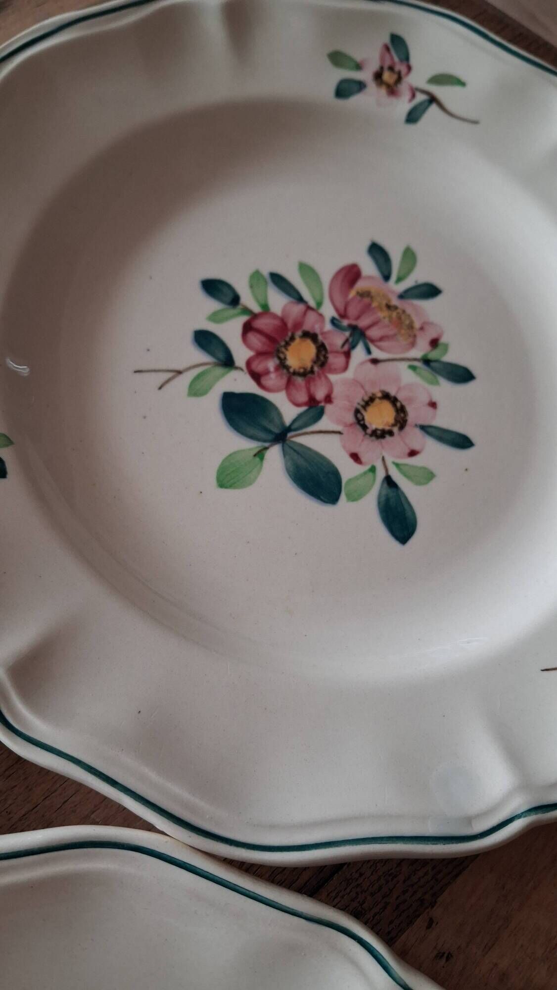 Amazonas plates Sarreguemines