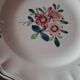 Amazonas plates Sarreguemines
