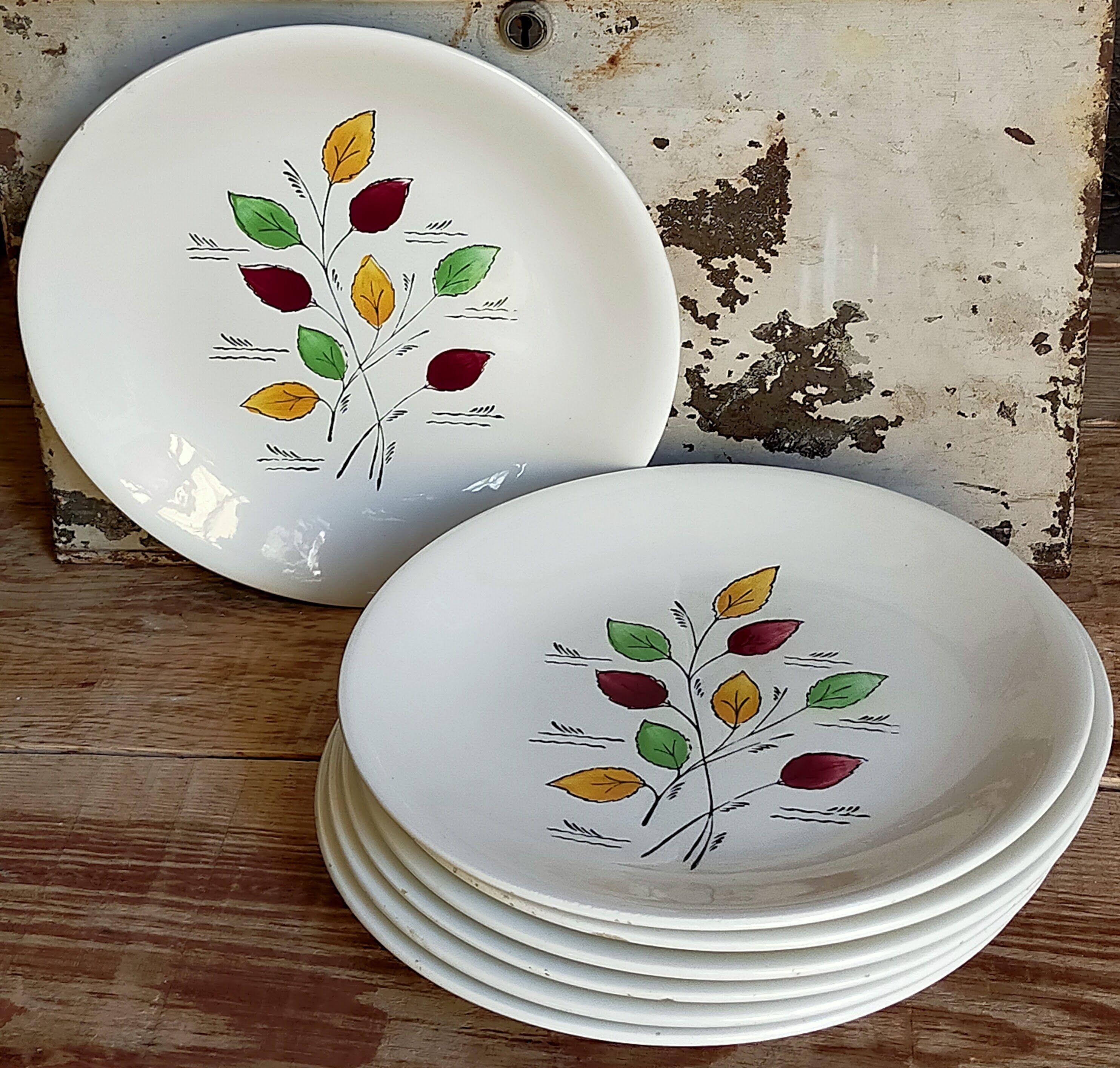 Seven vintage plates in fine earthenware from Gien service Gentilly