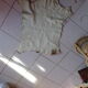 Calfskin 50x60