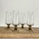 4 flutes with smoked glass feet