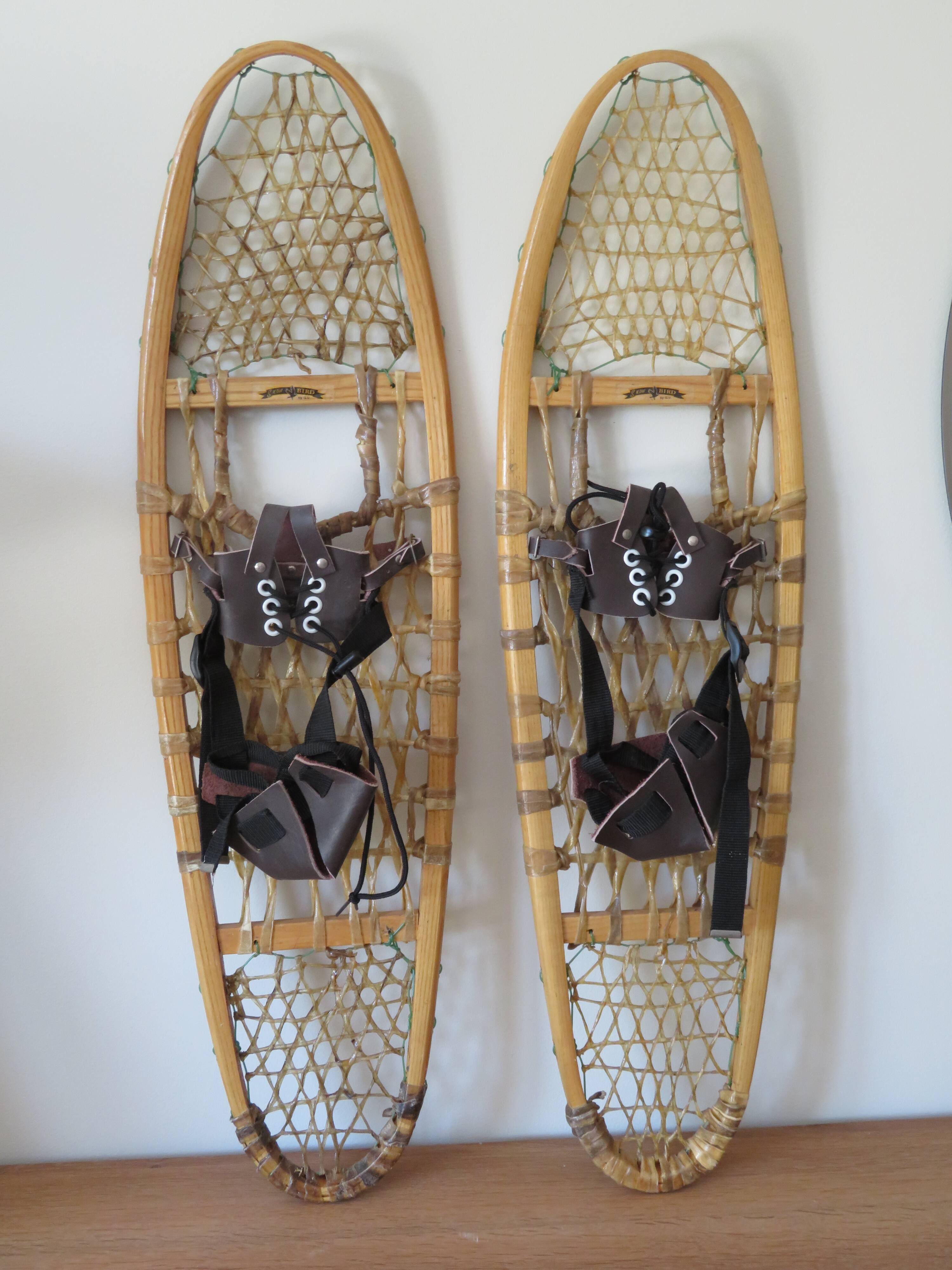 Old snowshoes Canada