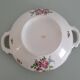 Limoges enamelled porcelain soup tureen