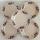 Set of 5 iron earth plates