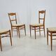 Ensemble de 4 chaises de salle à manger des années 1970 par Drevotvar, Tchécoslovaquie