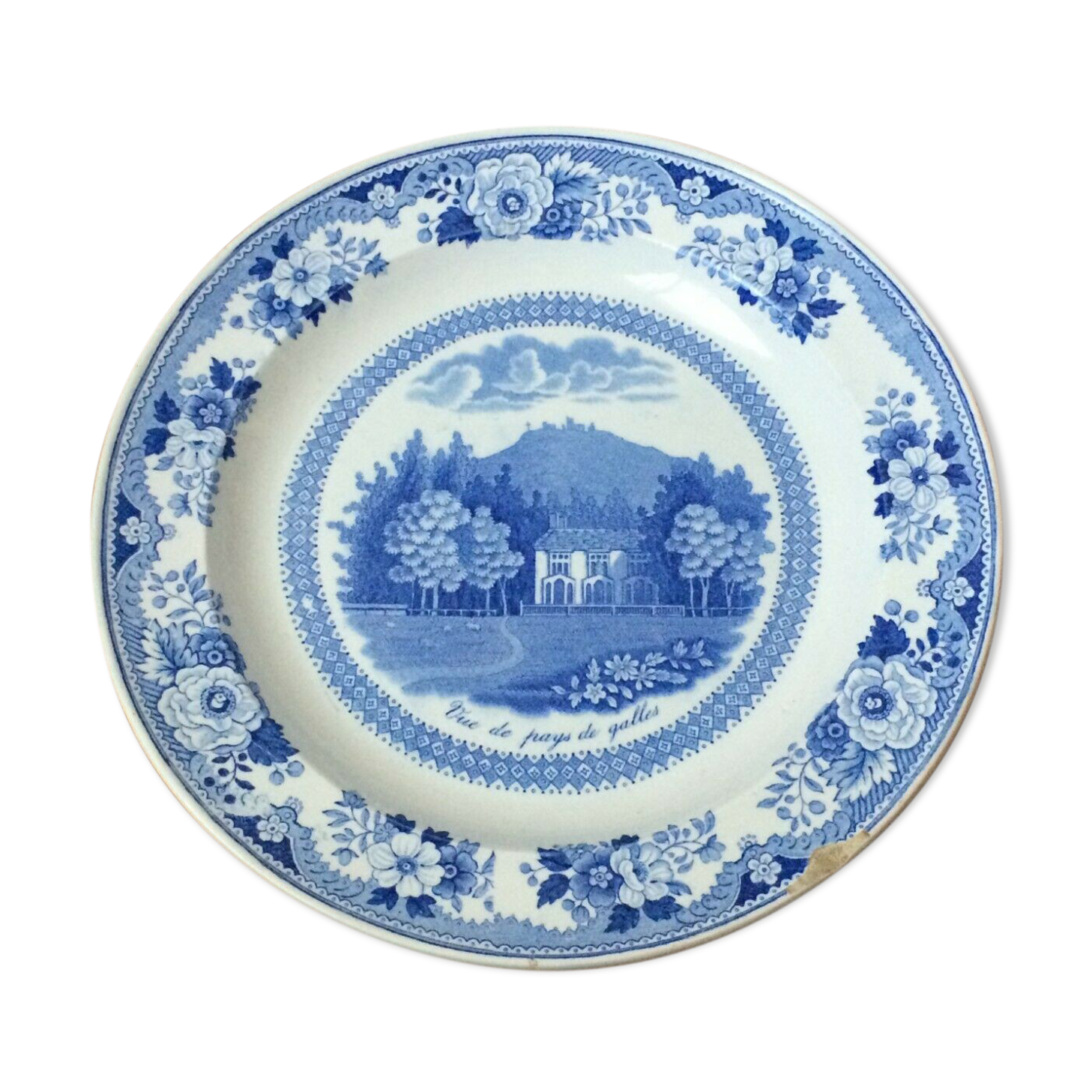 Gien earthenware plate seen from Wales
