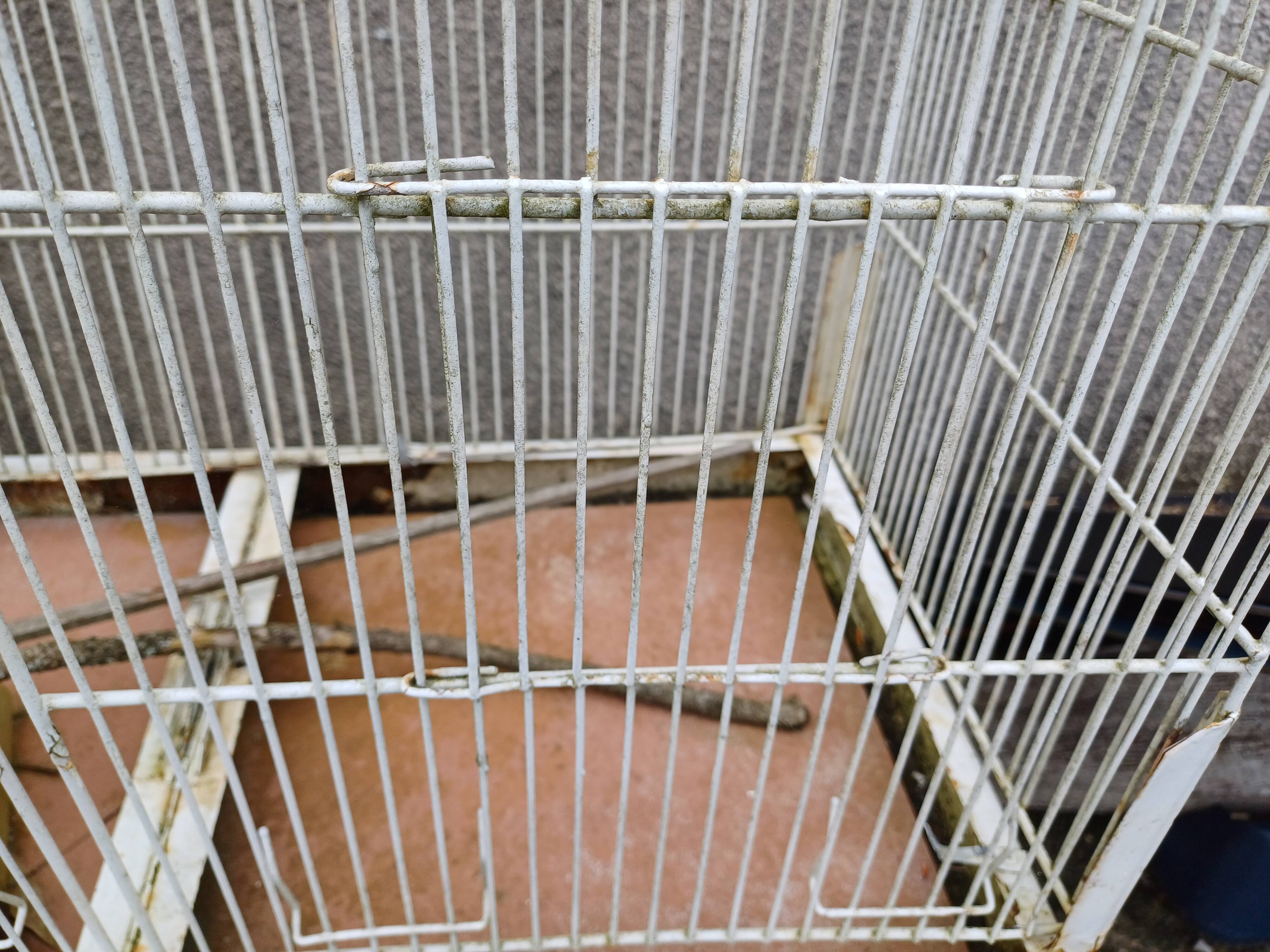 Cage à Oiseaux Fer 1900