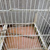 Iron Bird Cage 1900