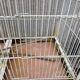 Iron Bird Cage 1900