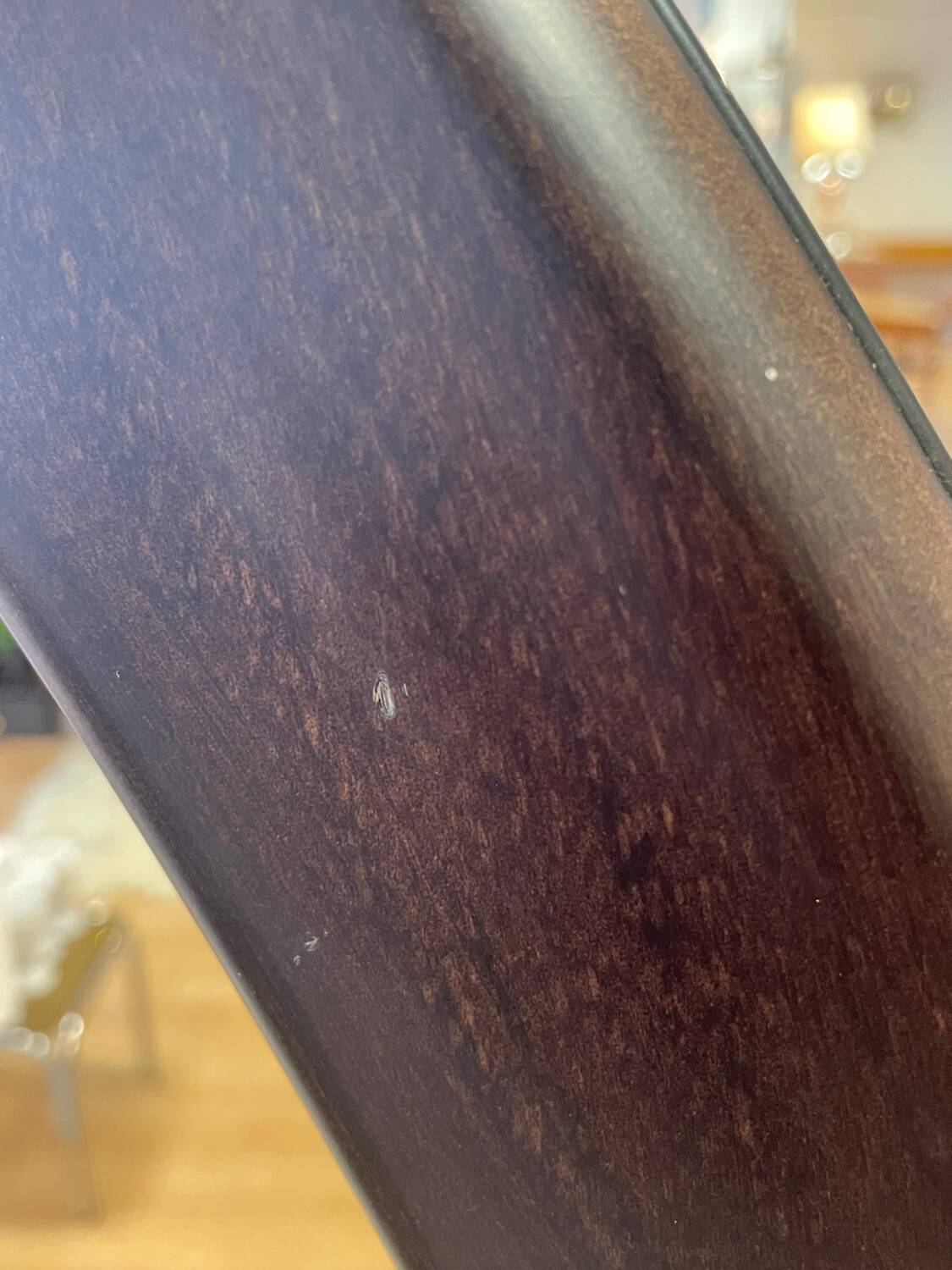 Luna walnut arc floor lamp by Natuzzi, 1990s