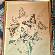 Set of 4 authentic antique naturalist lithographs (circa 1850)