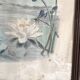 Large framed antique zoological engraving "The Washerwoman"