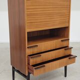 Office Secretary by Frantisek Mezulanik for Up Zavody 1960
