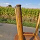 Set of 3 Baumann bistro chairs, Menuet model