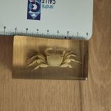 Crustacean in resin block