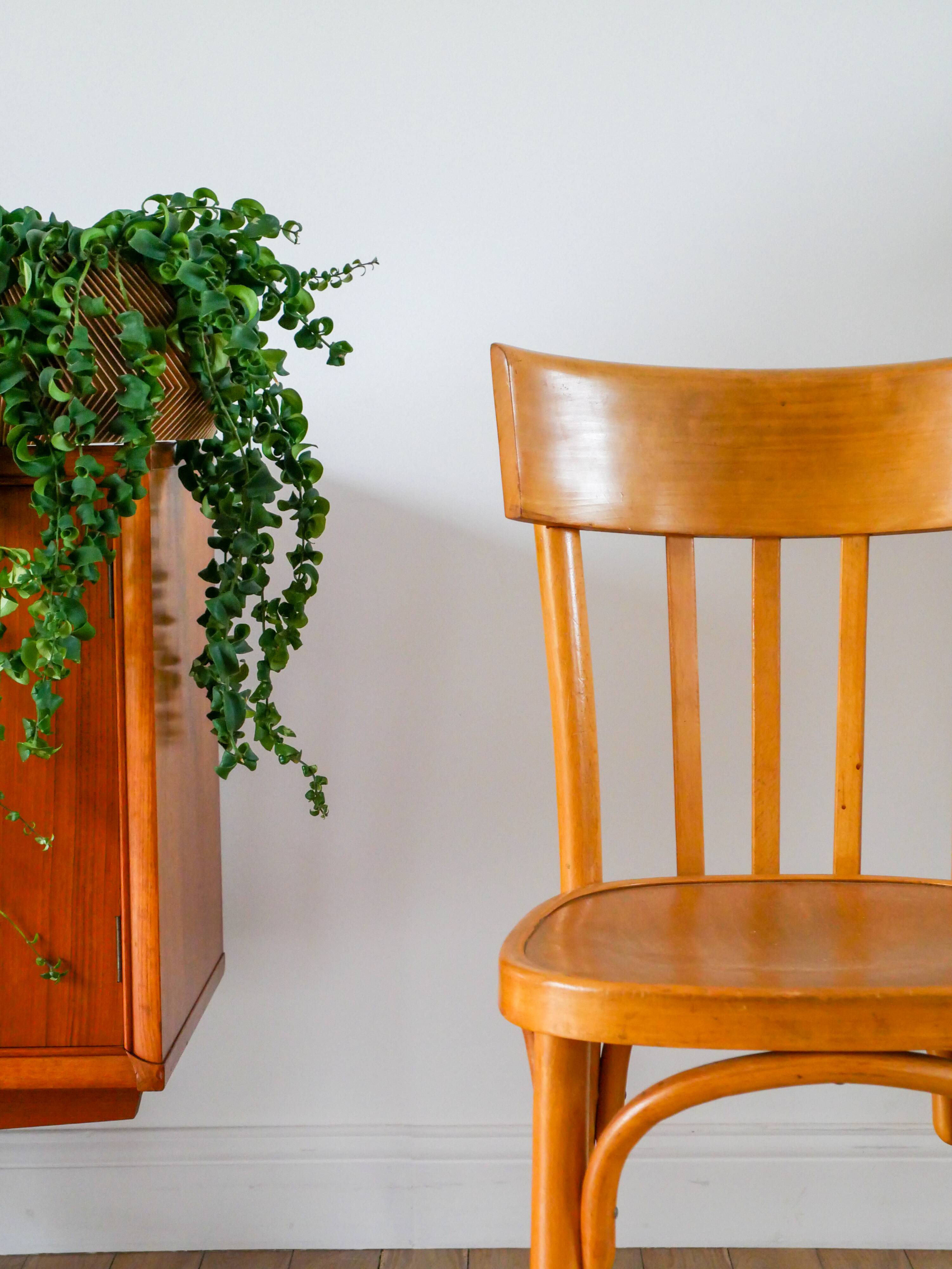 Baumann bistro chair in blond oak, 1950s